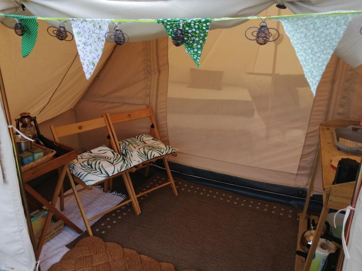 Coed Y Brenin Retreat - Bell Tent Glamping Near Aberaeron Ciliau-Aeron Dış mekan fotoğraf